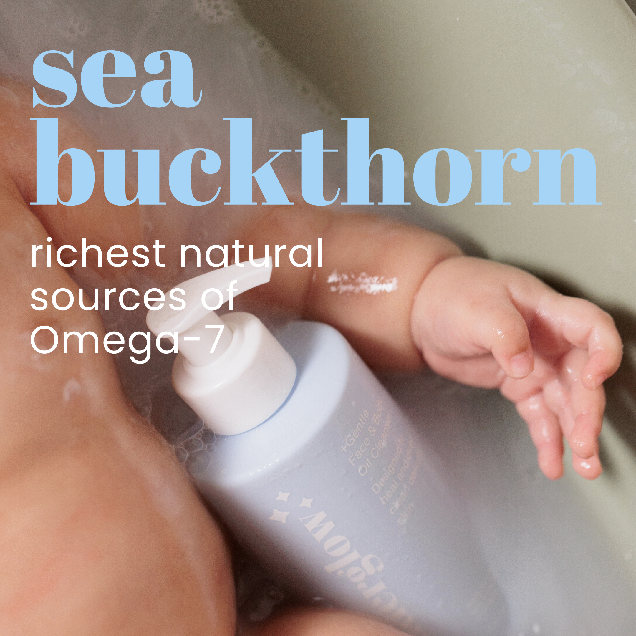 Healing Buckthorn +Gentle Face & Body Oil Cleansing Wash